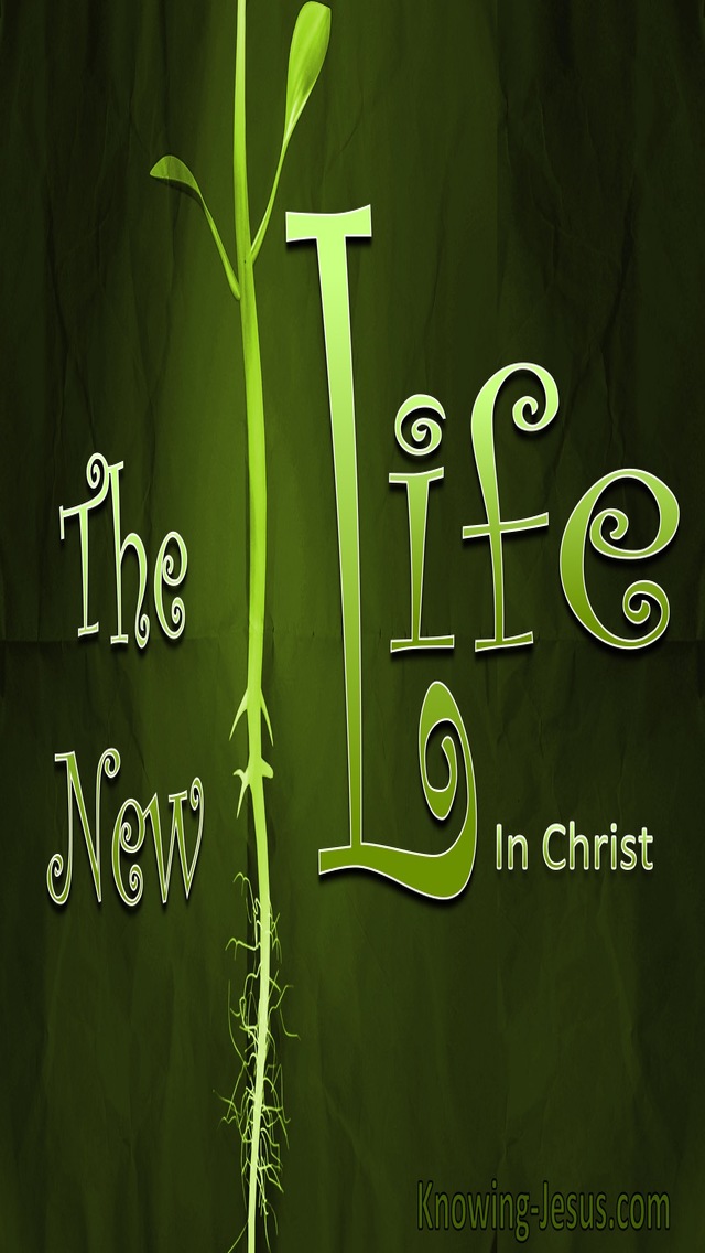 Romans 7:6 The New Life (devotional)03:12 (green)